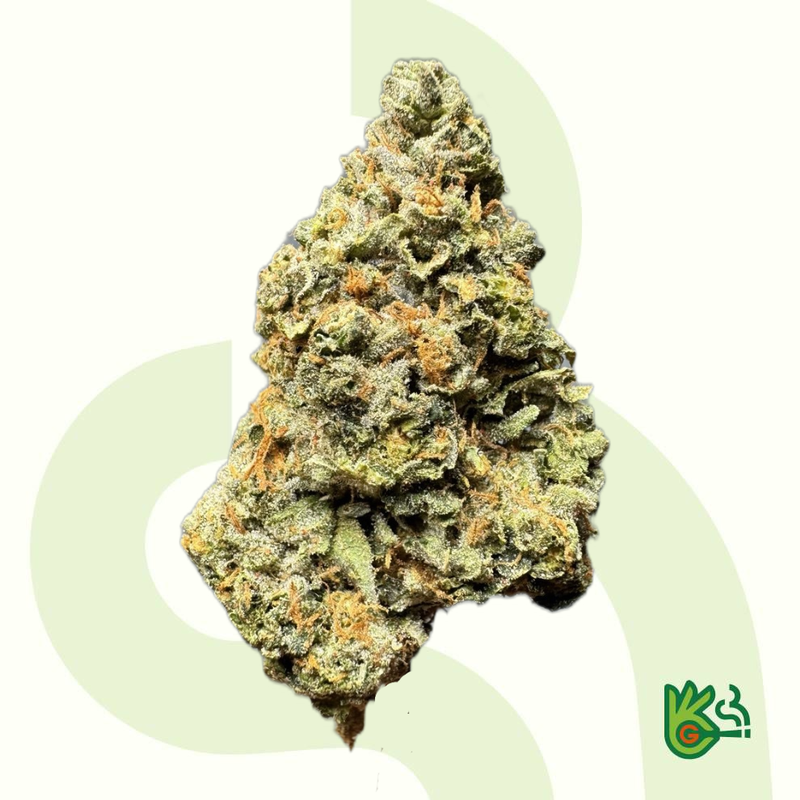 Biscoff *Free Shipping*