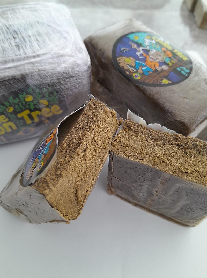 🍋 🎄 LEMON TREE