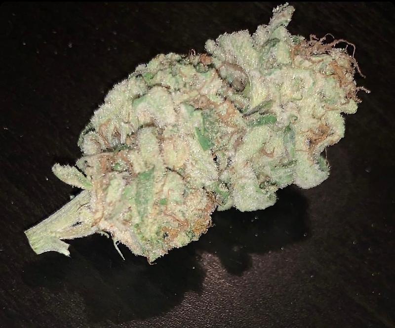 Sapphire Cookies (Top Indoor)