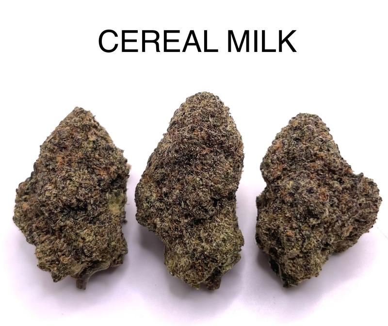 CEREAL MILK