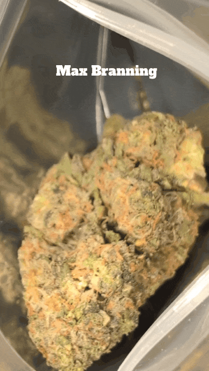 UK TOP SHELF SMALL BATCH🇬🇧 PGR FREE/ORGANIC