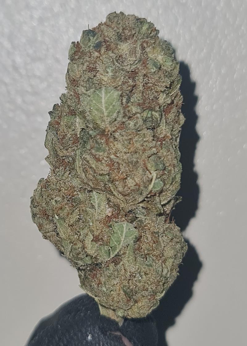 **DO-SI-DOS X SBC - (FREE RM 1ST CLASS)**
