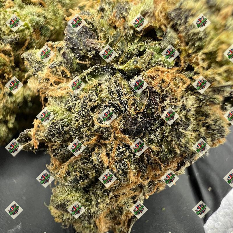 🇺🇸 Lemon Feever By WIZARD TREES