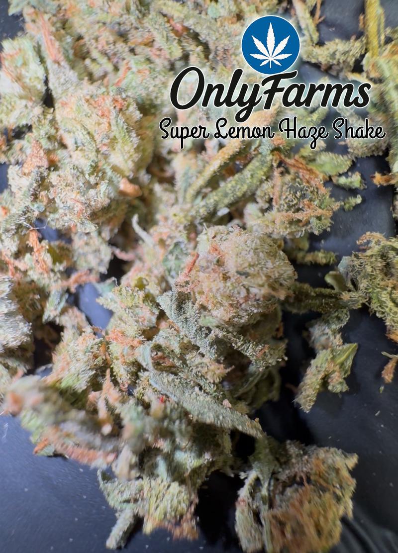 Super lemon haze shake