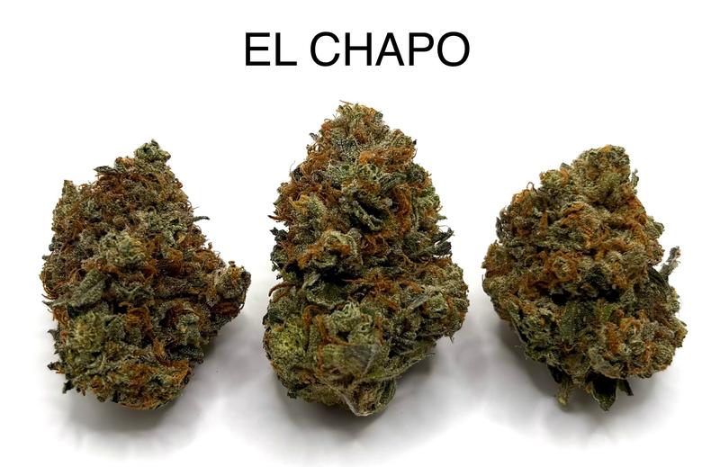 EL CHAPO