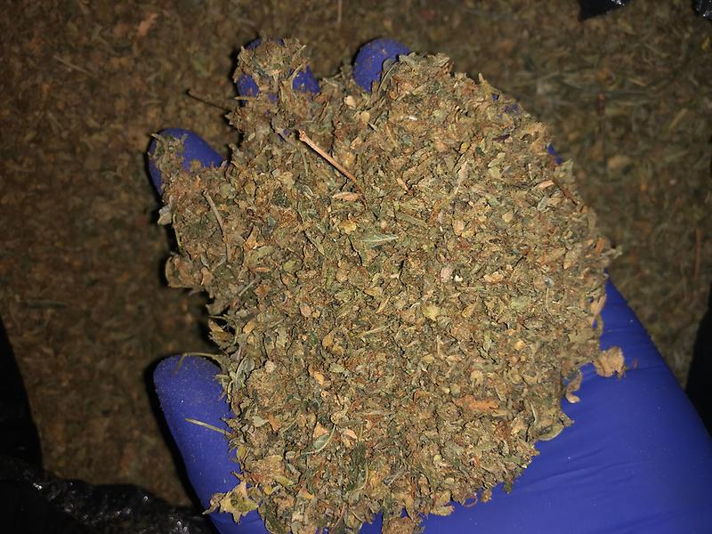 Rolex Quality Shake - Silver Zkittles - Premium Quality