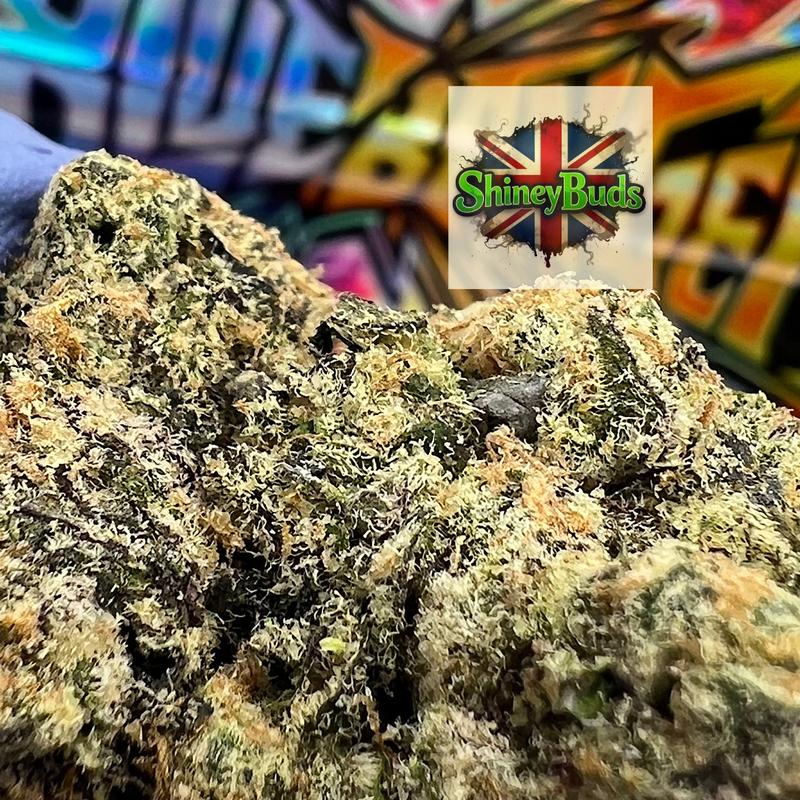🇺🇸 Blue Banger 3.5g Pack WIZARD TREES
