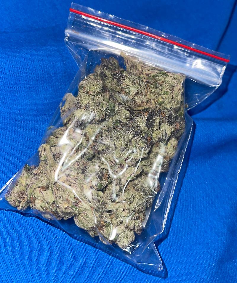 Starfighter x Alien Dog Cherry