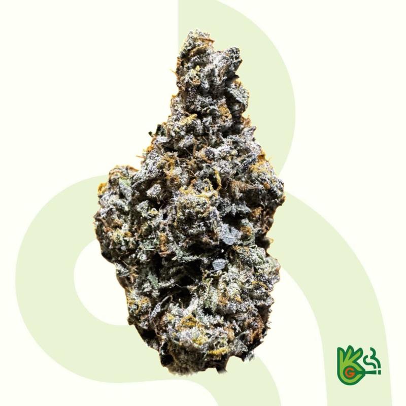 Blue Lobster *Free Shipping*