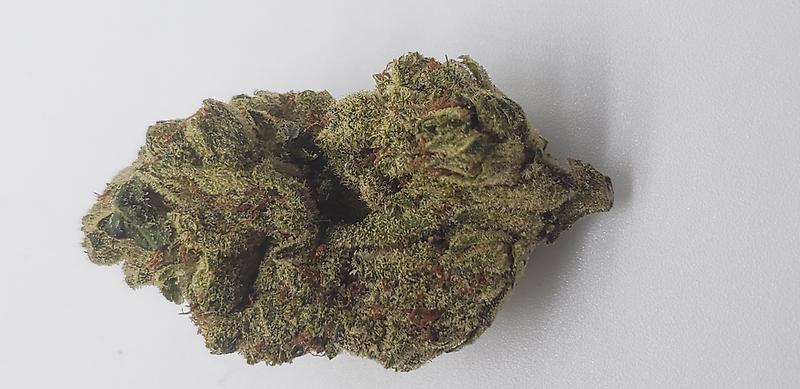 MODIFIED GRAPES (INDICA DOM)