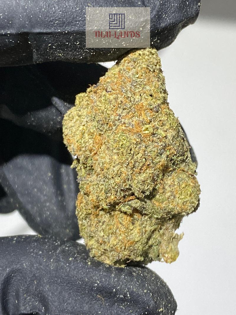 PAPAYA PUNCH SATIVA