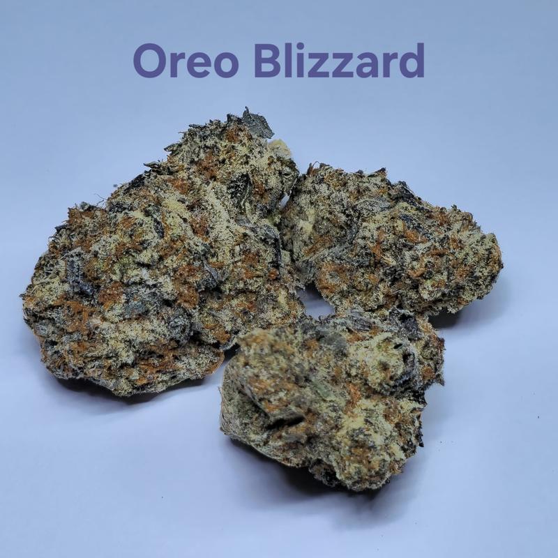 Make an oz for £160! ( Free T24 )