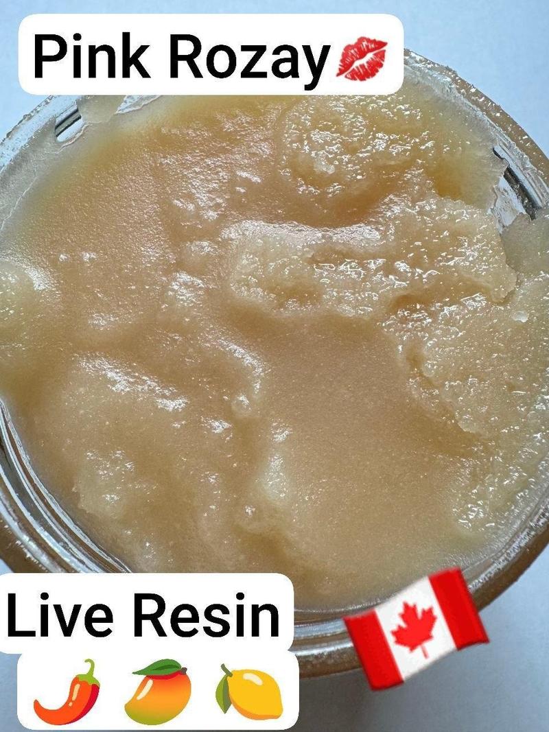 Canada BHO