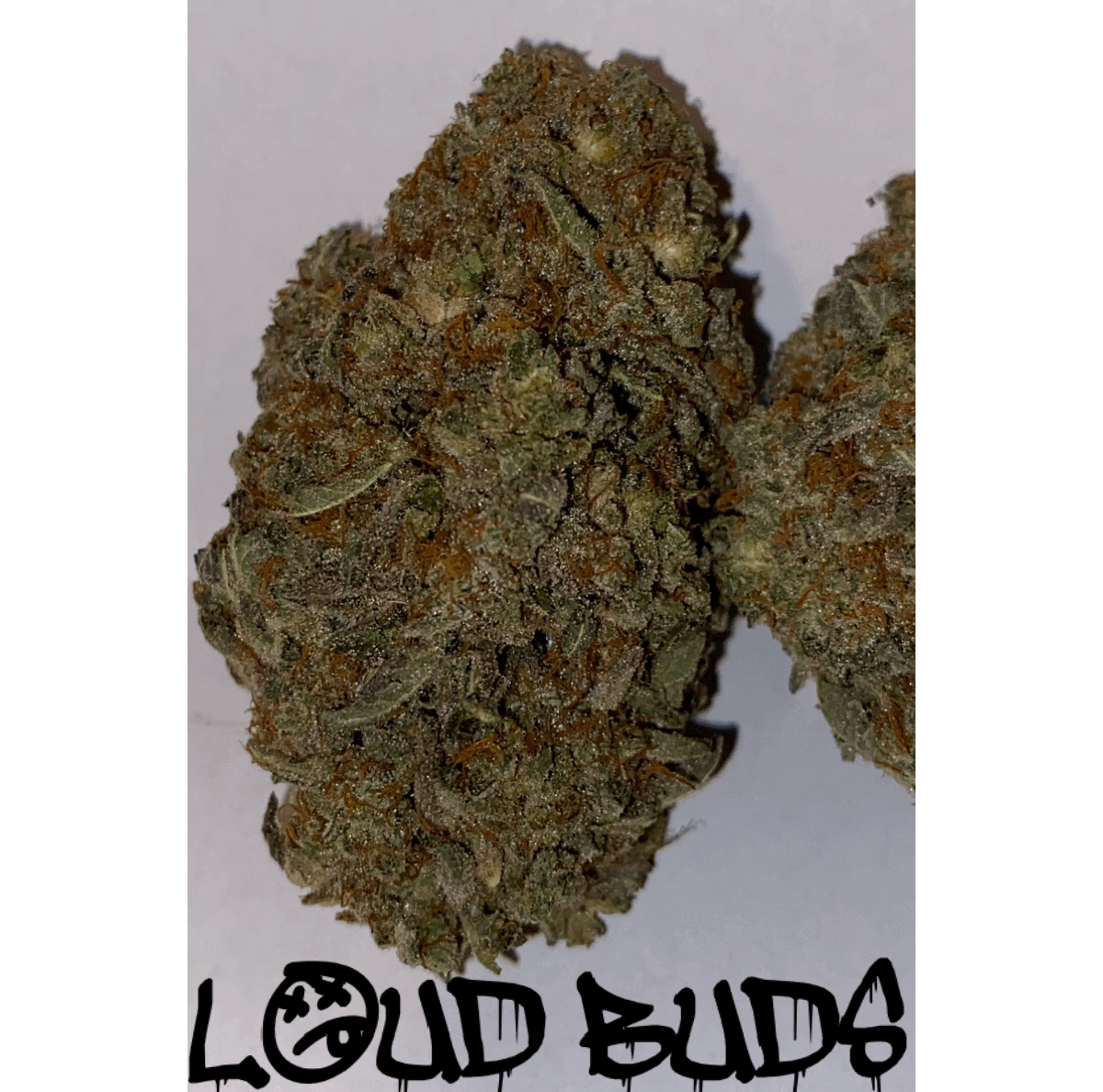 STARDAWG **FREE SHIPPING**