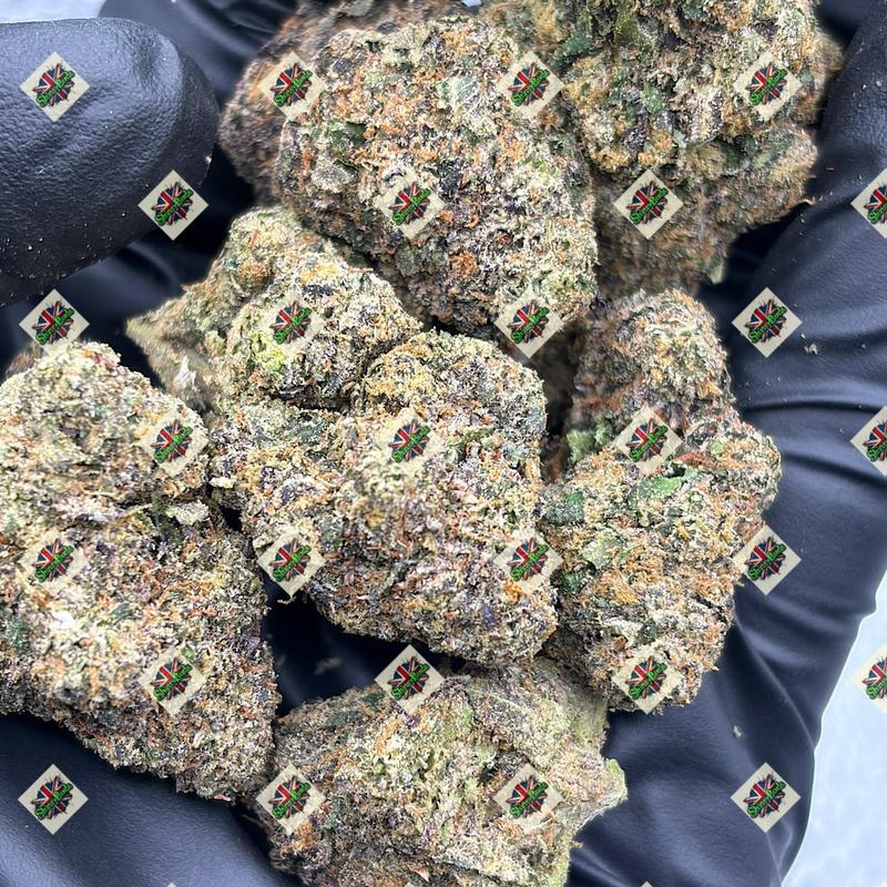 🇺🇸 Helium Biscotti By DOJA