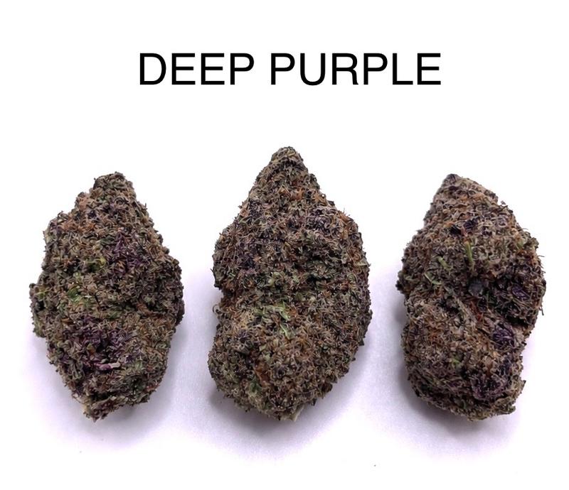 DEEP PURPLE