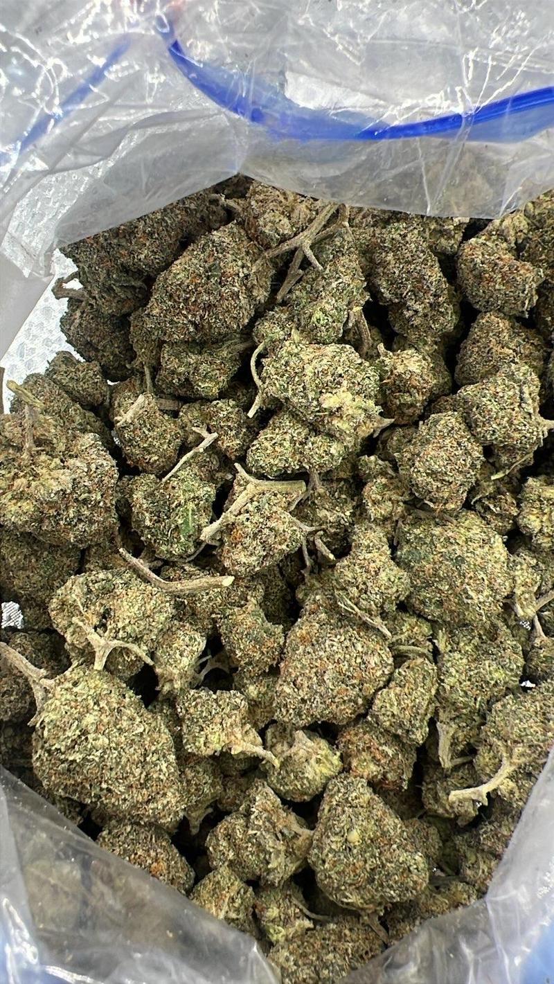🌋 CALI LOOSE EXOTICS | Fumi Sauce 🌋