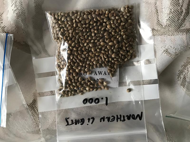 seeds