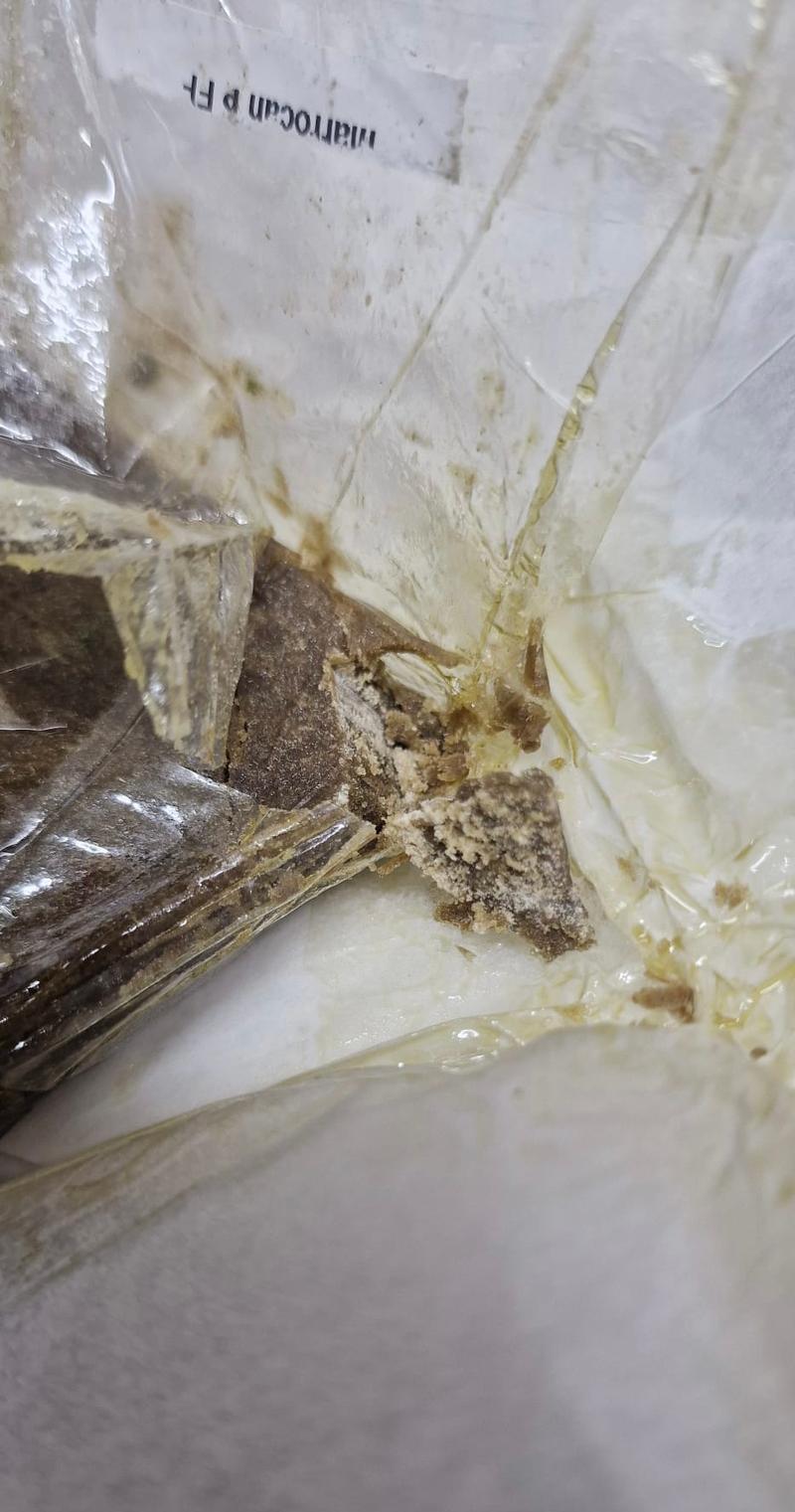 Super Exclusive Single Source WPFF - Peach Zushi