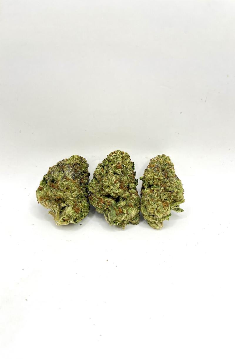 MOCHI - EXOTICS