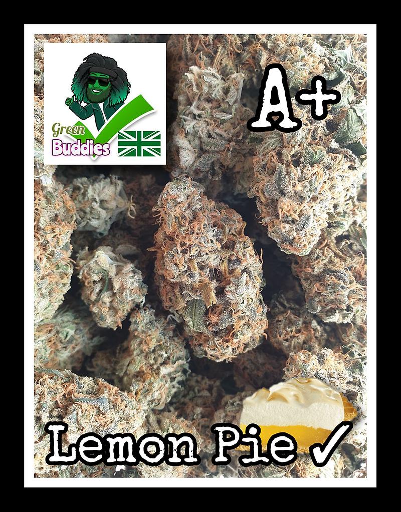 Lemon Pie - Buddies ✓ A+