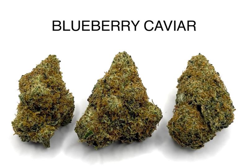 BLUEBERRY