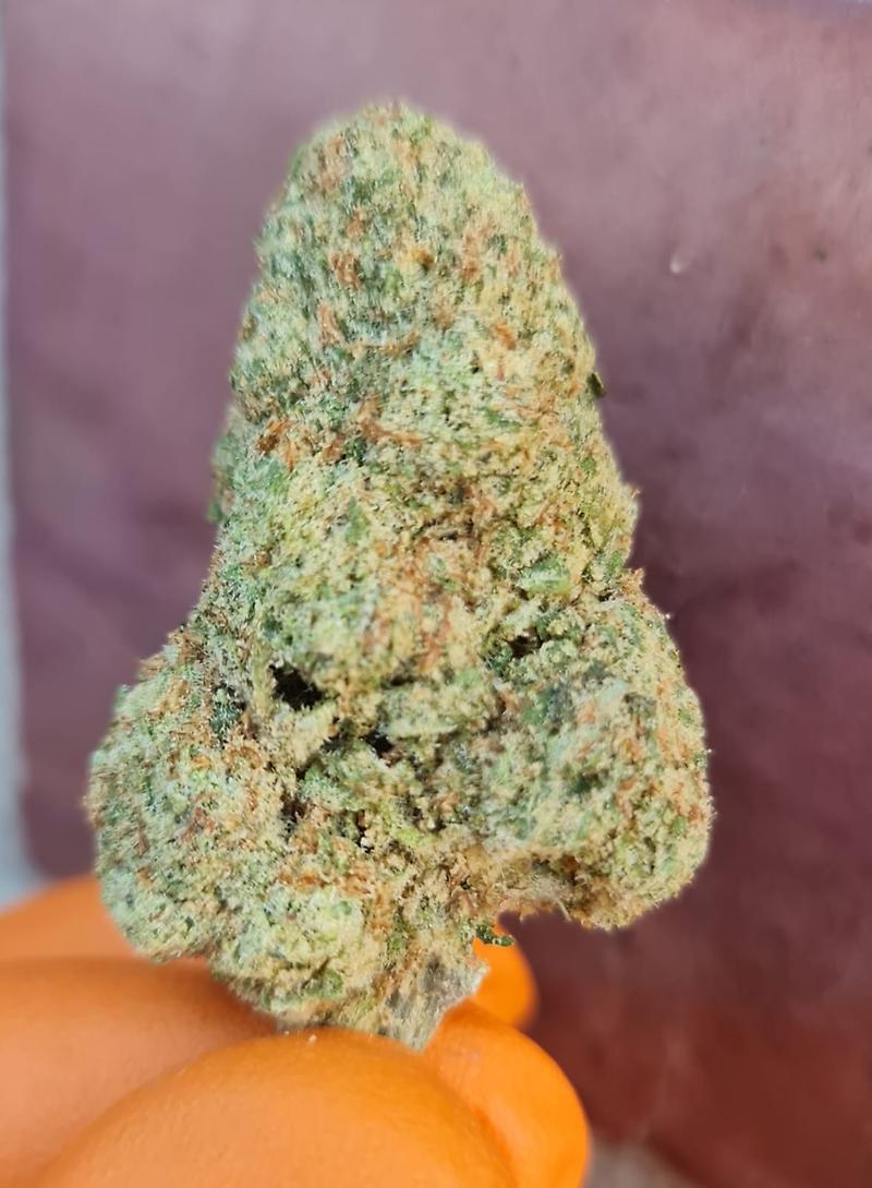 **PAPAYA - (FREE RM 1ST CLASS POST)**