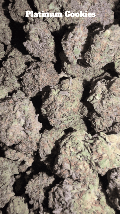 Cali Mids - Loose Import 🇺🇸