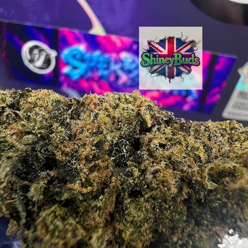 🇺🇸 Sherbanger WIZARD TREES