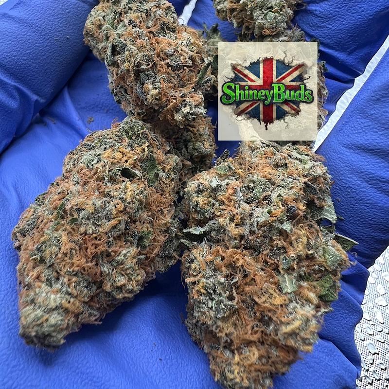 🇬🇧 Rubikz
