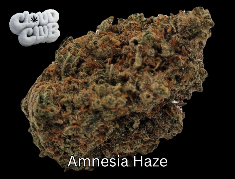 Amnesia Haze