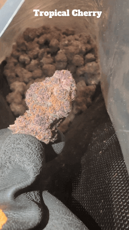 Top Shelf Exotics - Imported Loose Flower