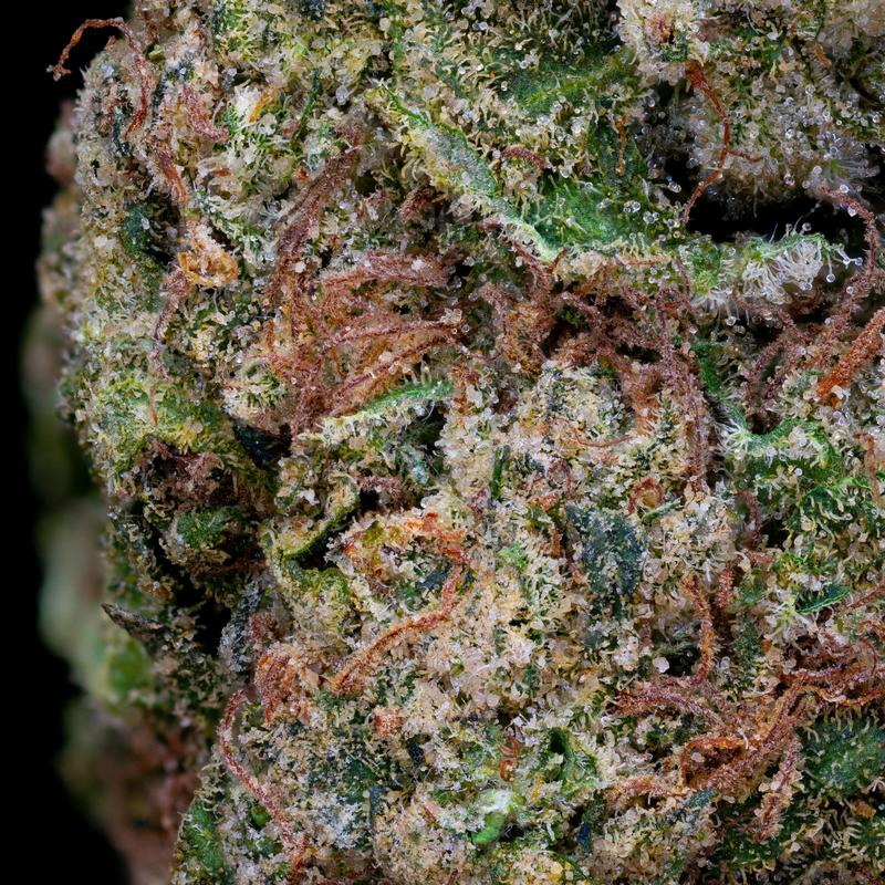 Banana Cream