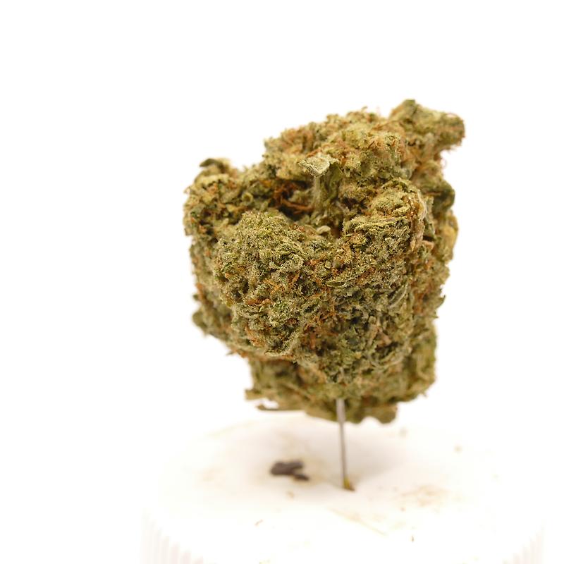 Divine: Canadian Dense & Dangerous "Death Bubba"