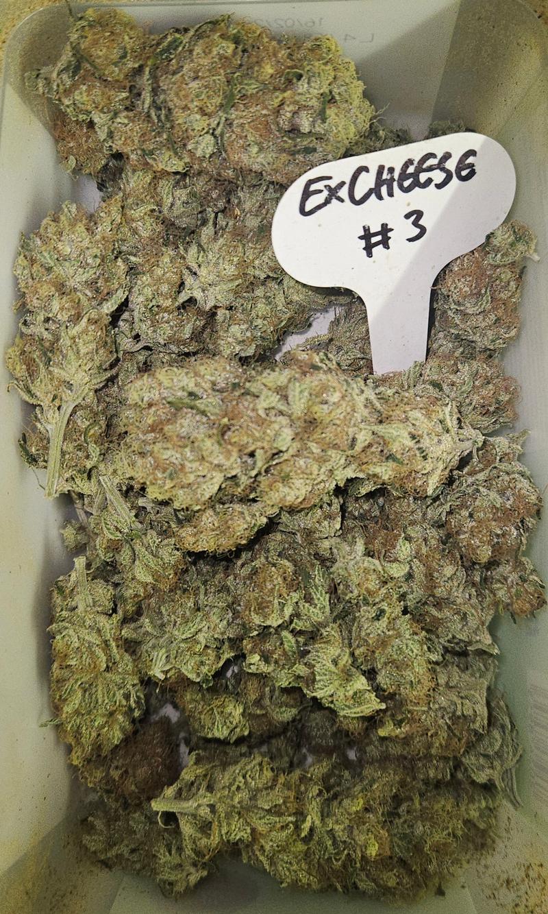 Exodus Cheese