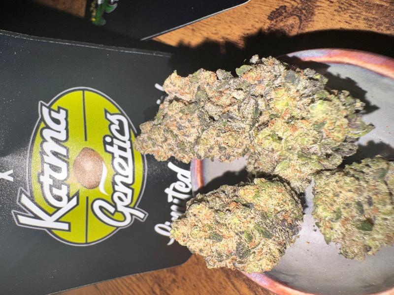 KARMA GENETICS X WHITE ROSE FARMS - PINK DI FRUTTI