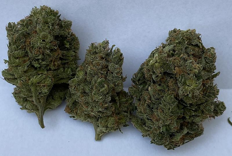 Blueberry **FREE SHIPPING**