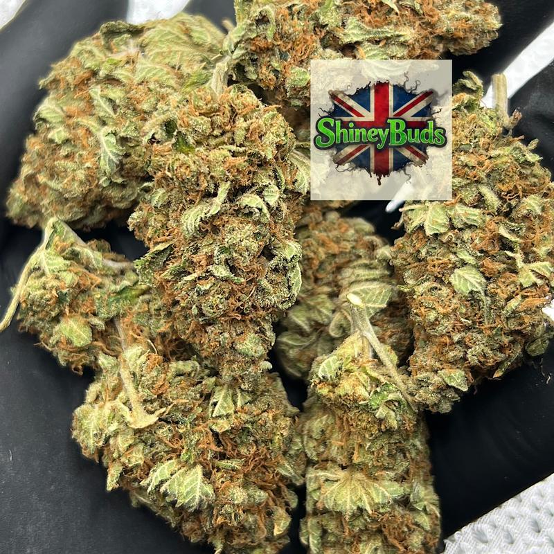 🇬🇧 Ztree