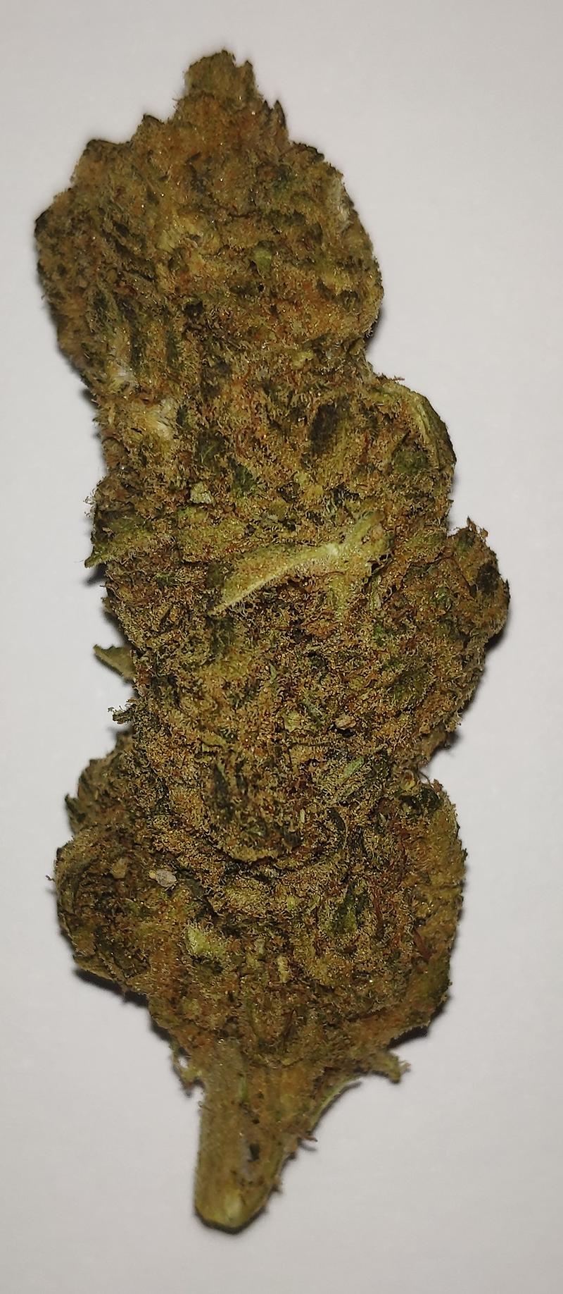 STARDAWG – 23% CBD BUDS