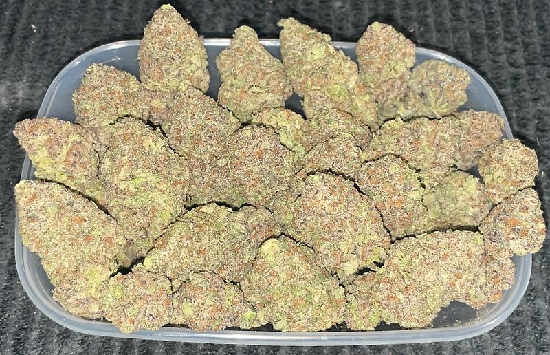 Zombie OG Canadian Import