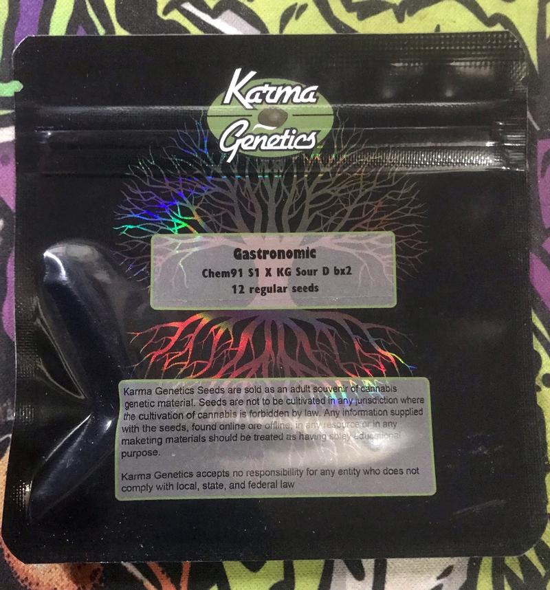 Karma Genetics