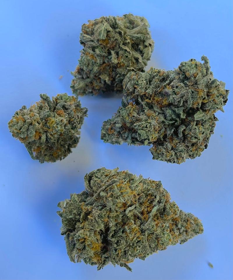 Jet Fuel Gelato x Cookies Bud