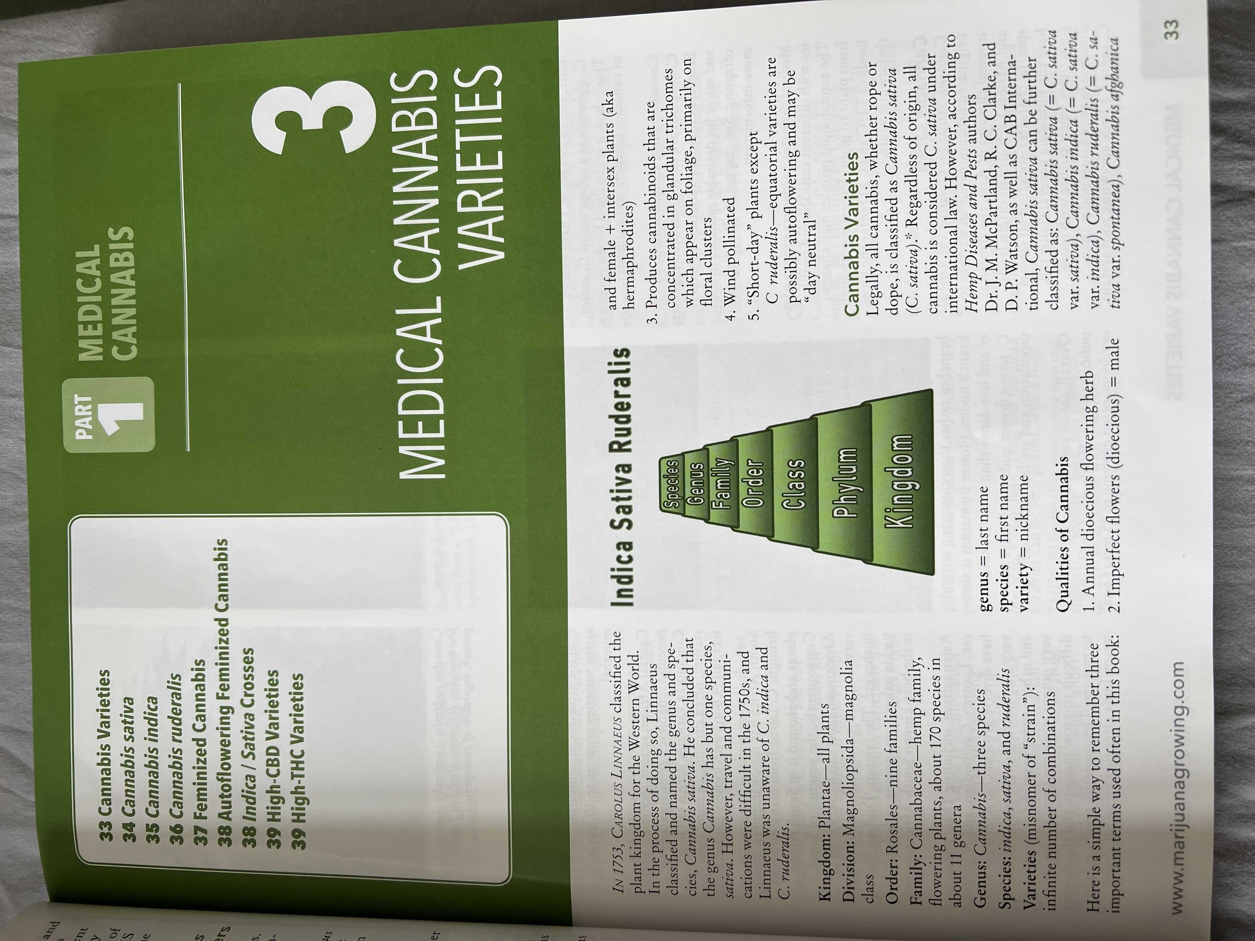 The Cannabis Encyclopaedia by J.C