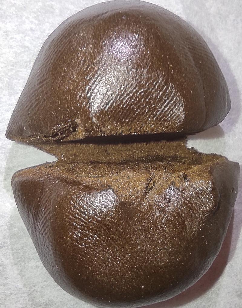 Diesel Cream (AAA) Hash