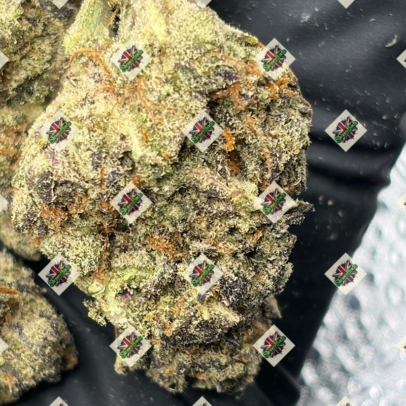 🇺🇸 10 Bandz CONNECTED CANNABIS