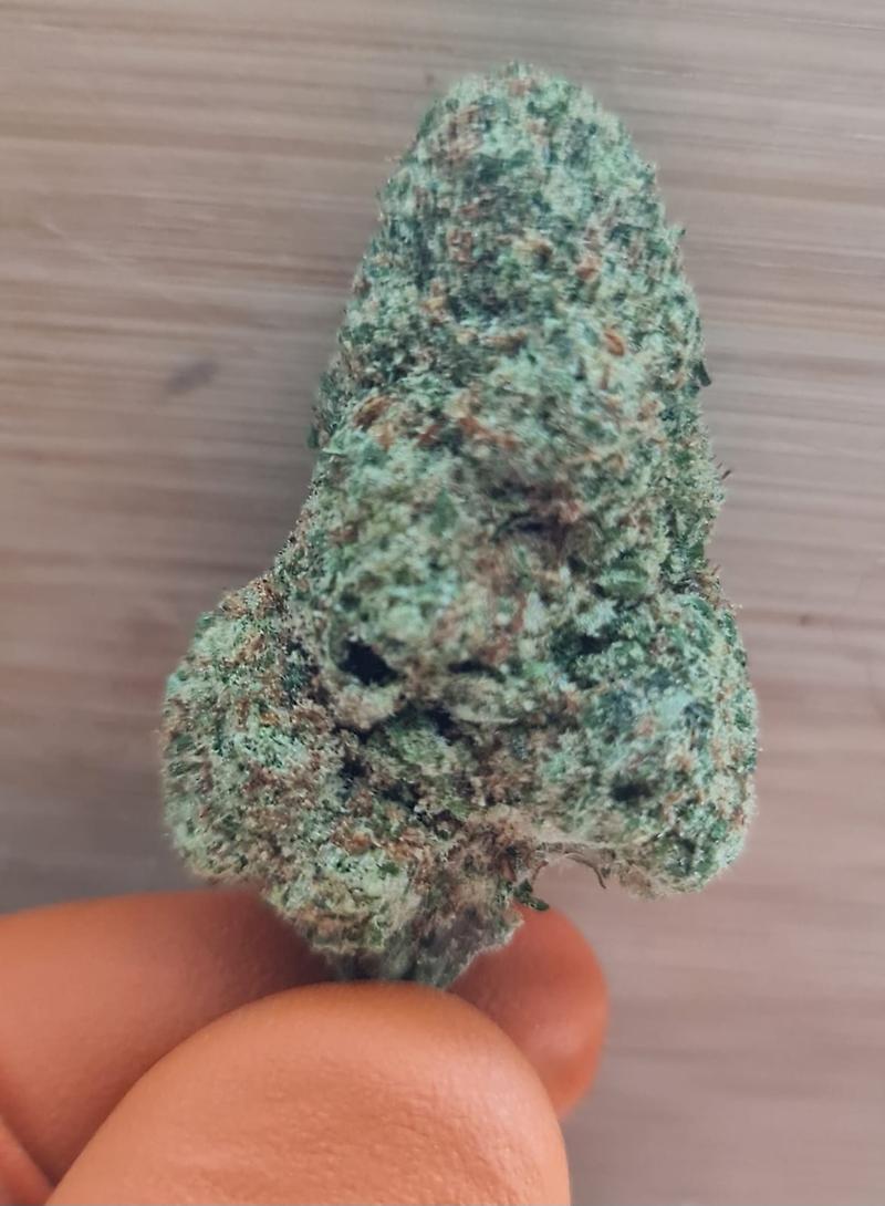**PAPAYA - (FREE RM 1ST CLASS POST)**