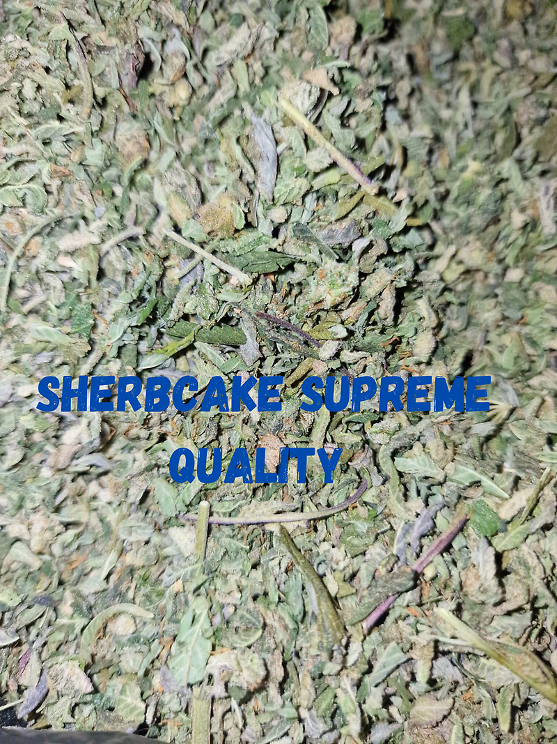 Hemp Lady’s Shake Shack - Variety of Premium Shakes