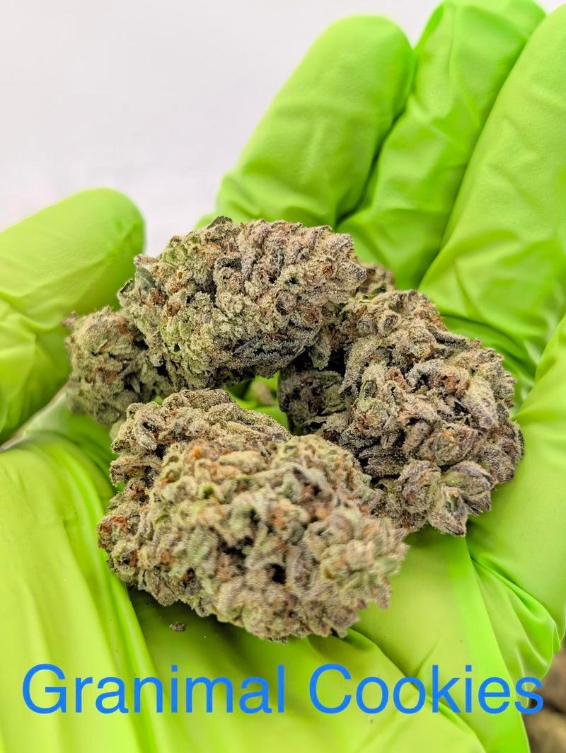Mids 🇺🇸