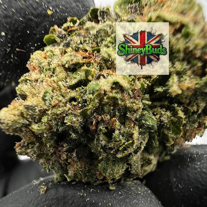 🇬🇧 Blueberry Squirt