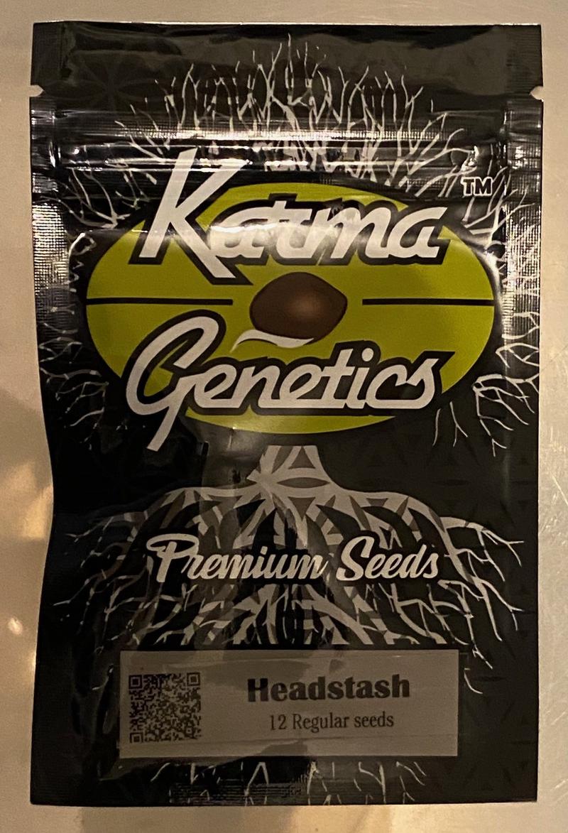 Karma Genetics